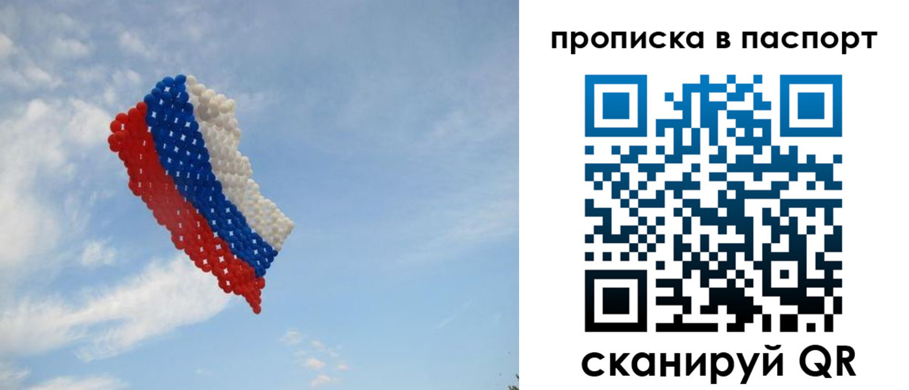 найти адрес прописки в Светогорске